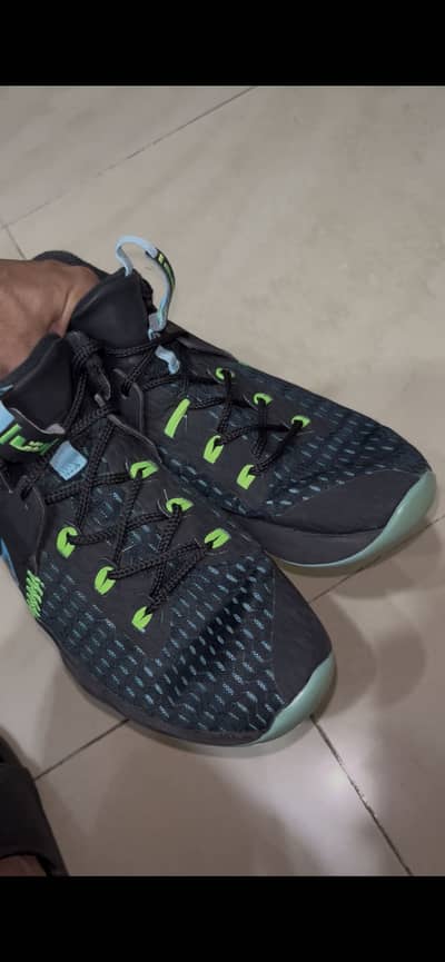 Nike LeBron James witness v