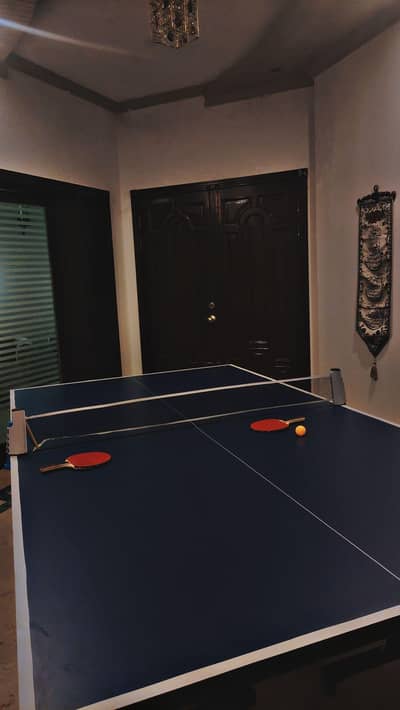 foldable table tennis table top notch quality