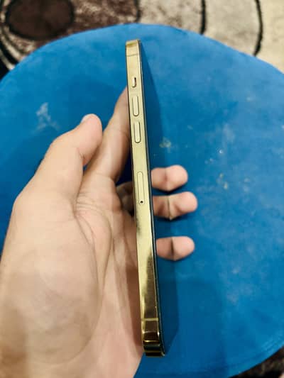 Iphone 12 PM 256Gb PTA prove