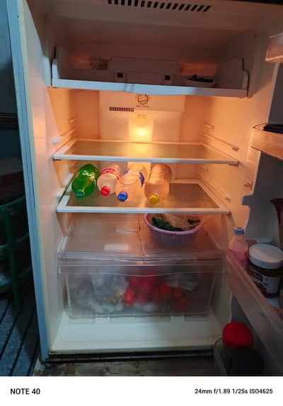 non frost fridge