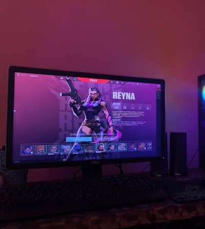 Gaming PC Monitor
