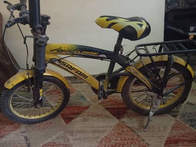 Bicycle