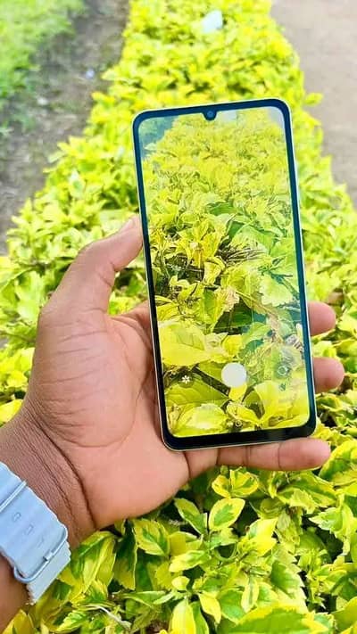 Samsung Mobile A06