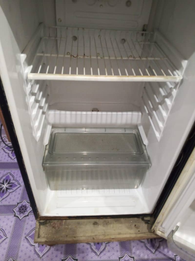 fridge 2