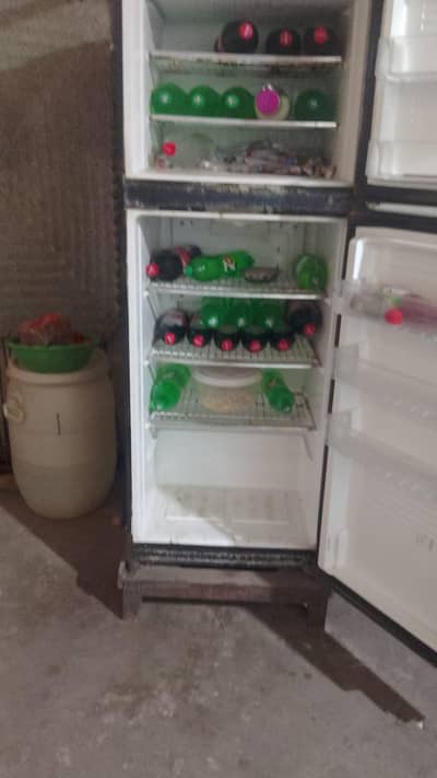 hair fridge meduim