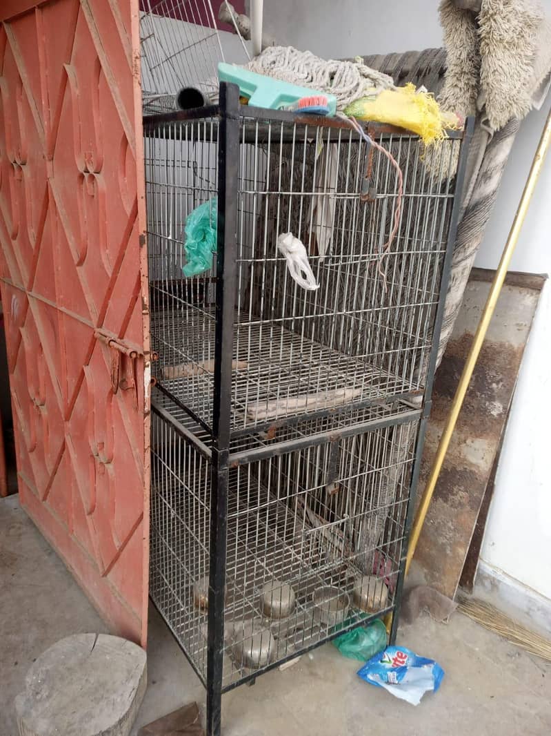 cage 5 portion 1