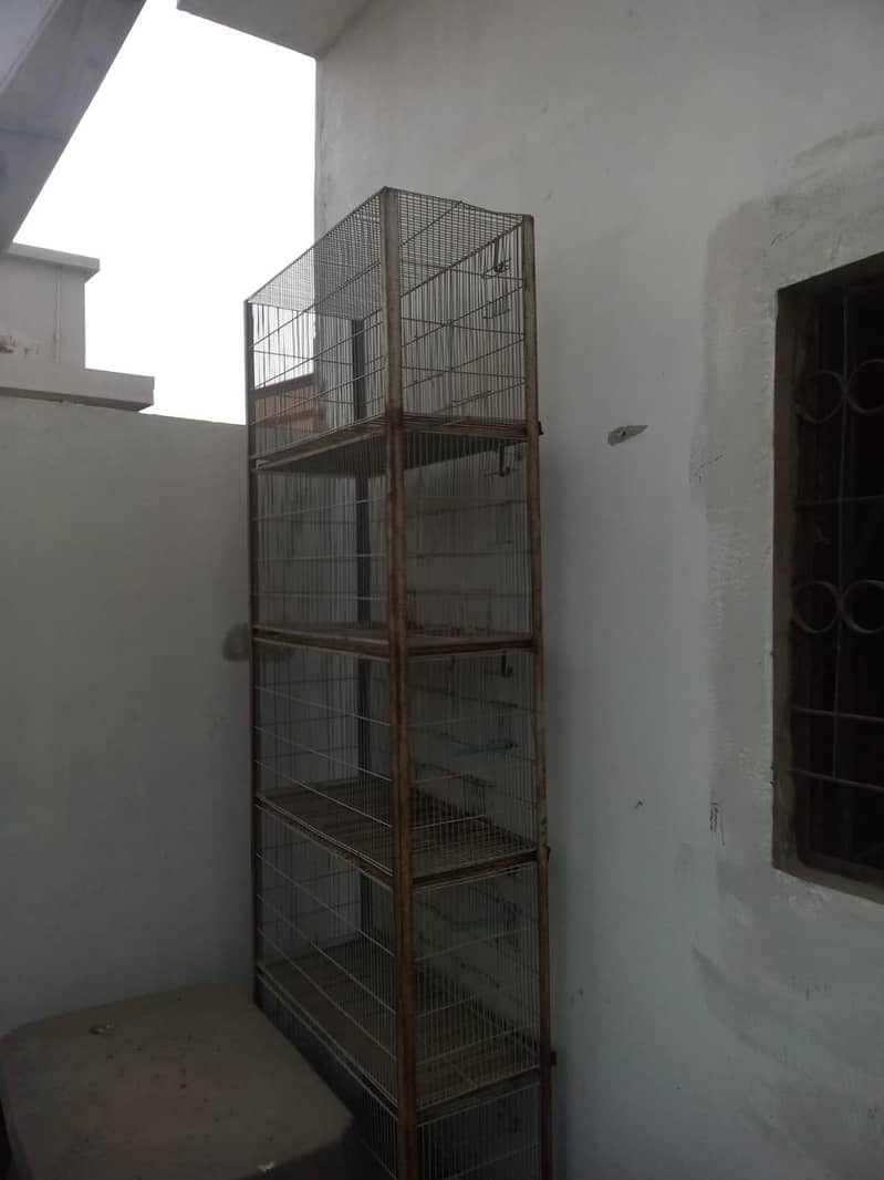 cage 5 portion 2