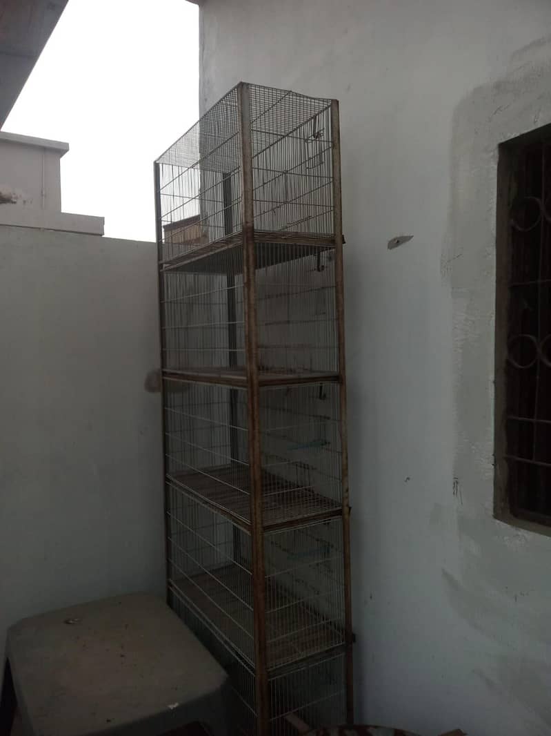 cage 5 portion 3