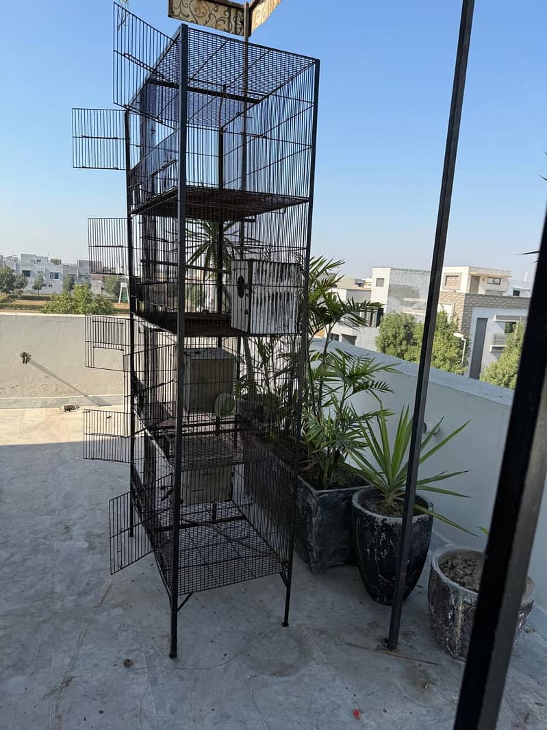 Hen cage 1