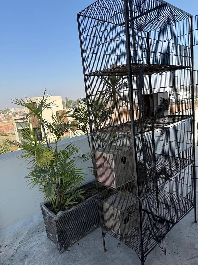Hen cage 2