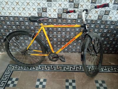 belkul new condition