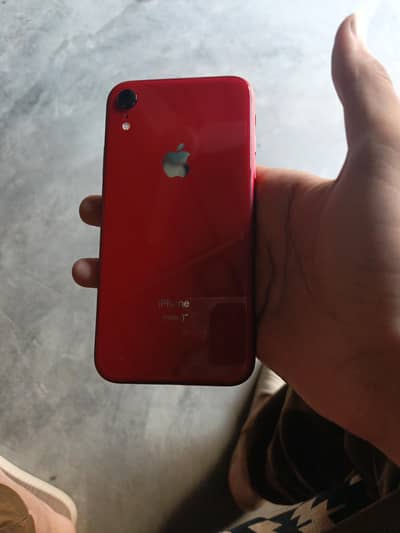 iPhone xr