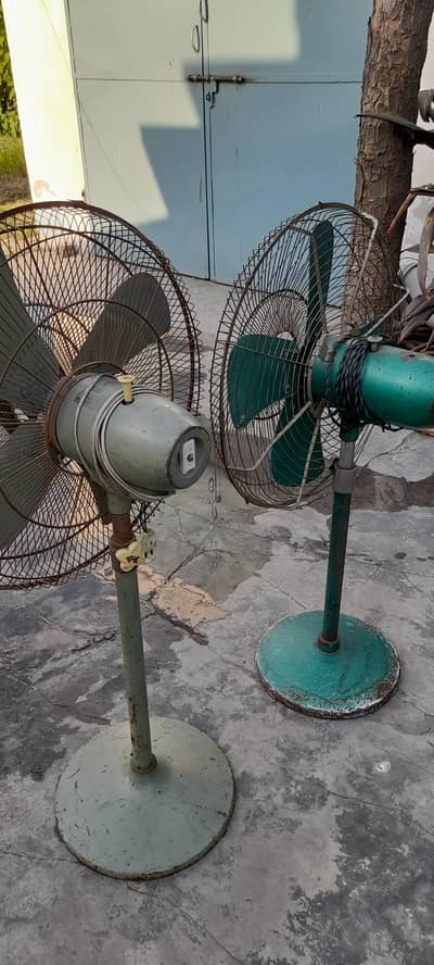 Copper winding pedestal Fan