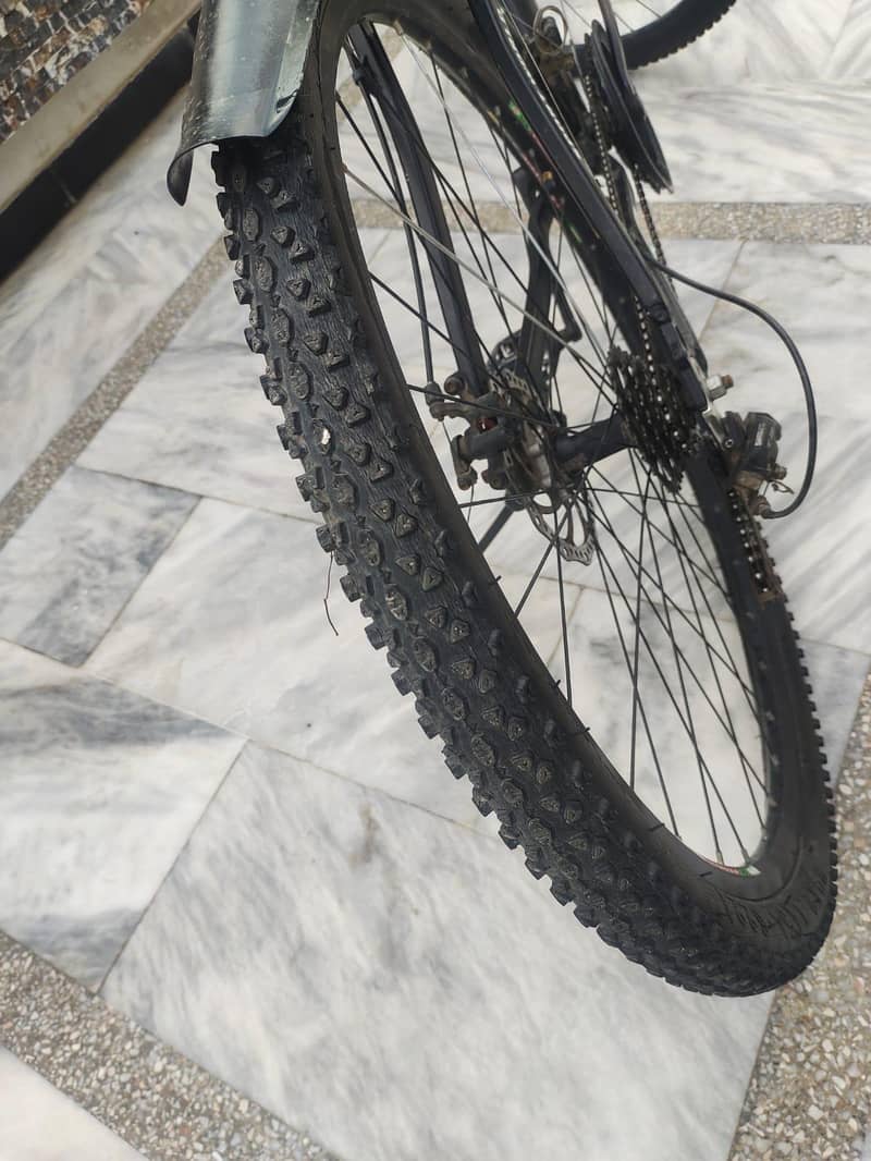 29 inch cycle 1