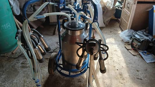 Turkey milking machine available for sale