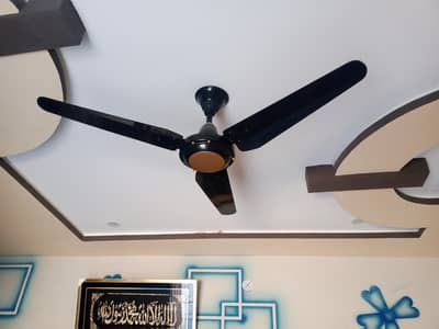 celling fans