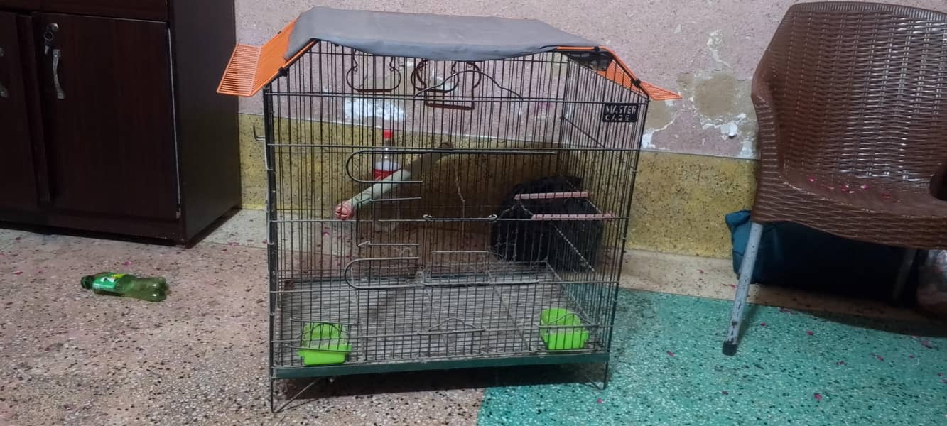 master cage 0
