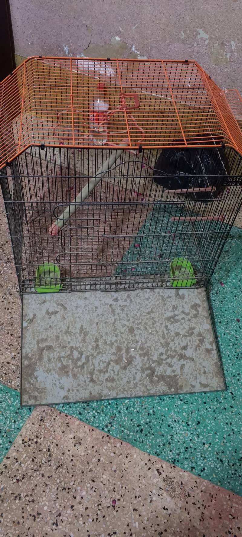 master cage 1