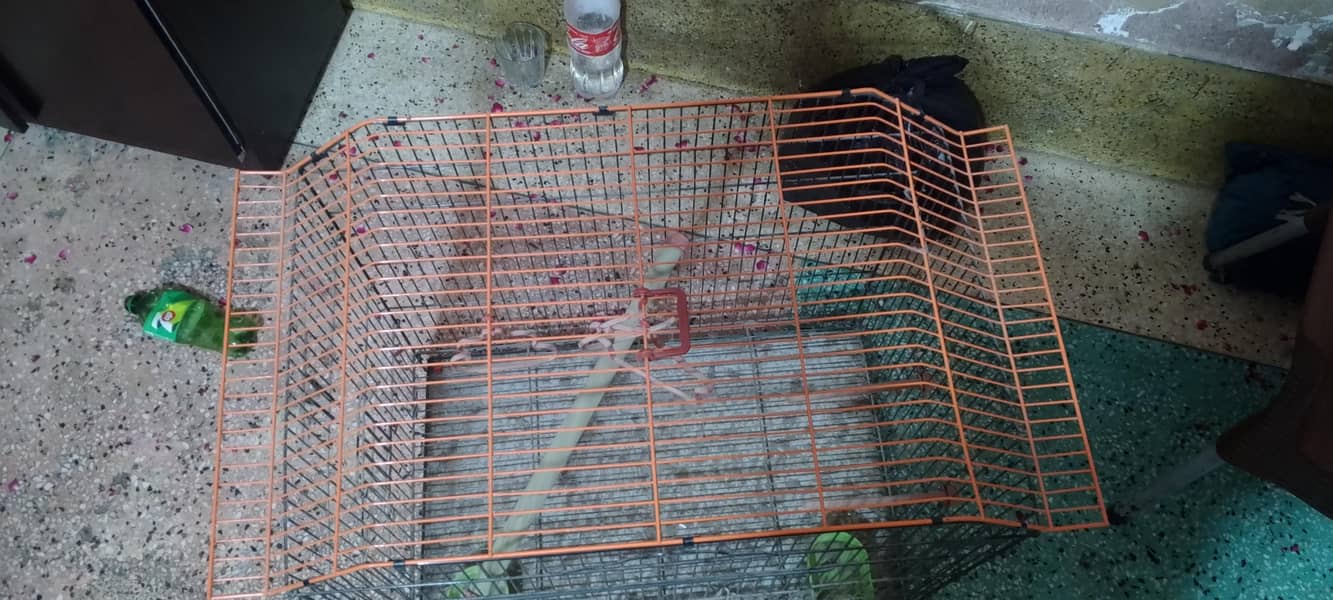master cage 3