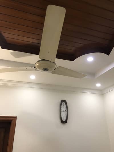 cilling fan     ( ROYAL)