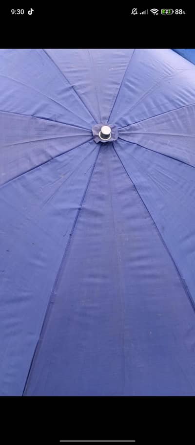 Umbrella