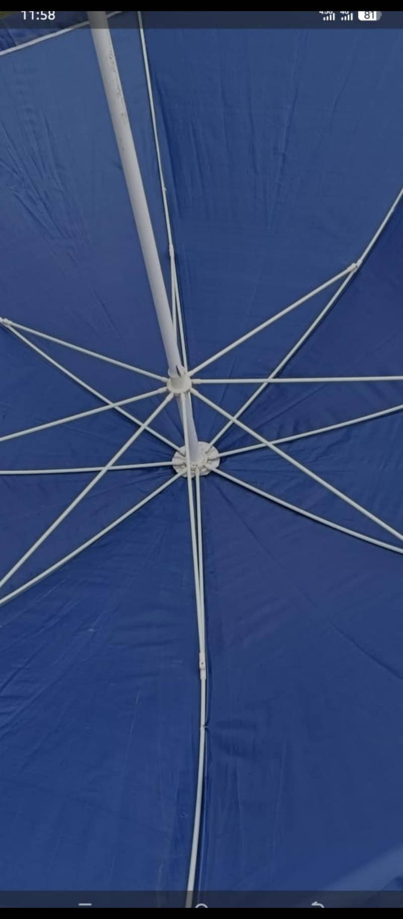 Umbrella 1