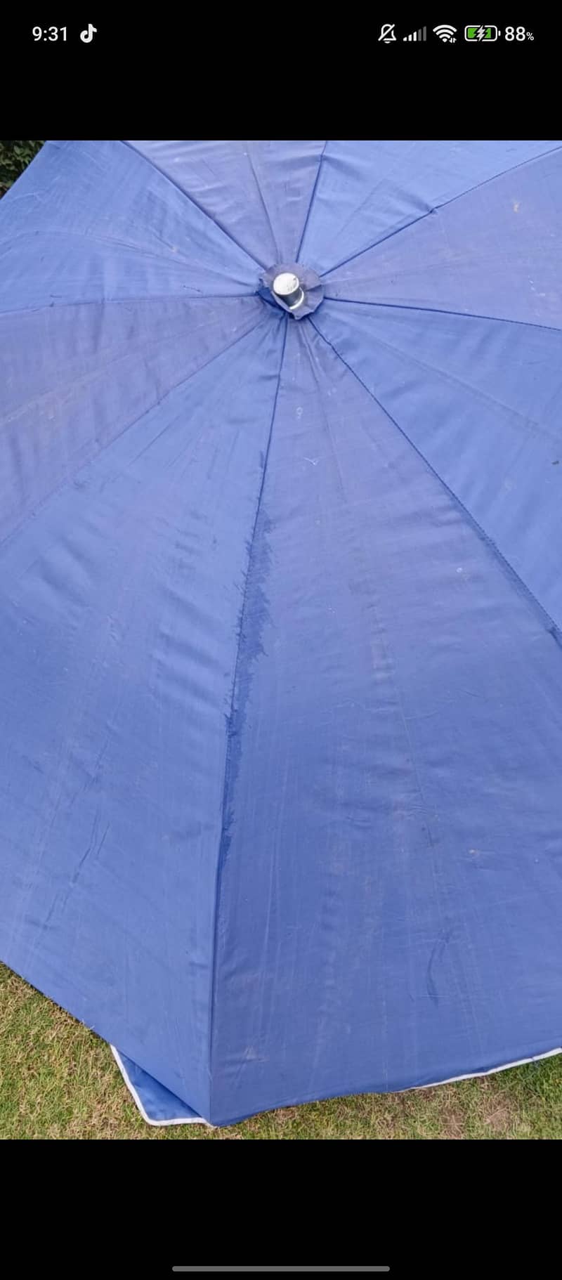 Umbrella 2