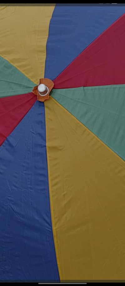 umbrella