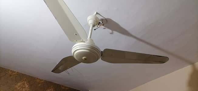 Diamond Fans - Working Well for 4 years