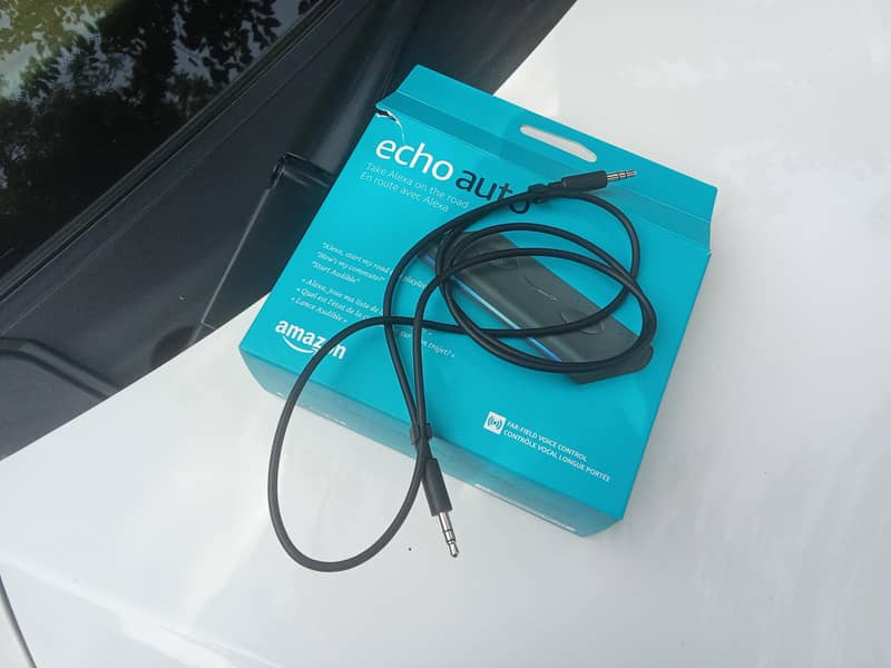 echo auto 0