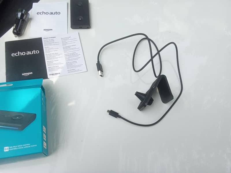 echo auto 1