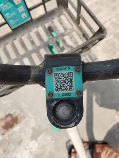 custom made cycle