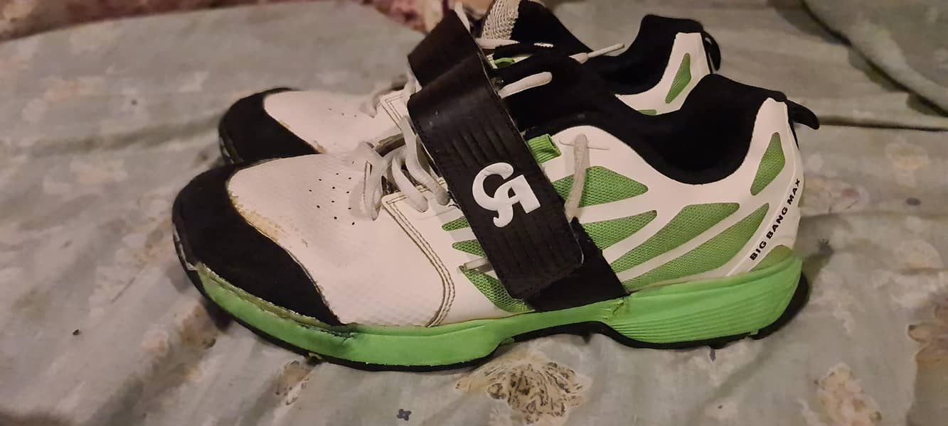 ca gripper shose 1