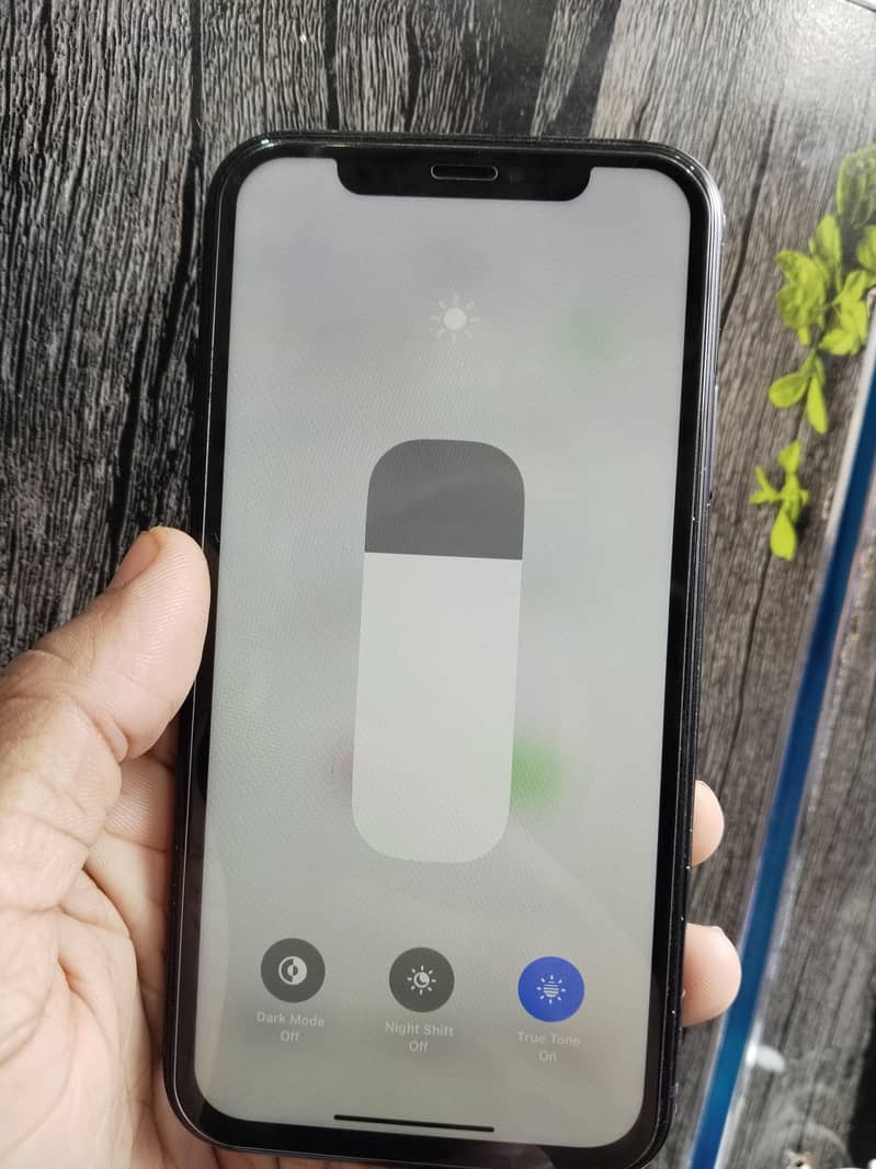 iphone XR 6