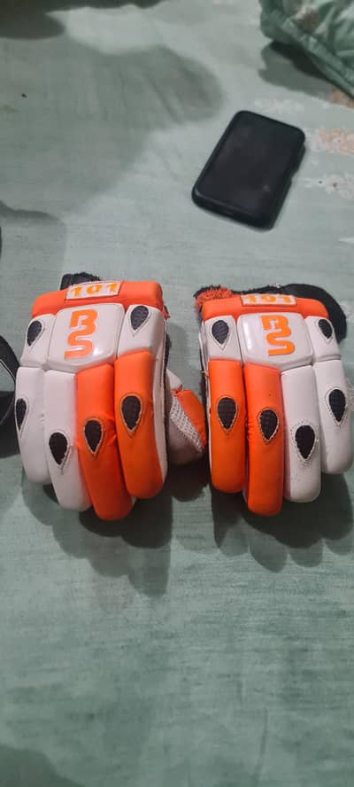 cricket gloves and Shoes