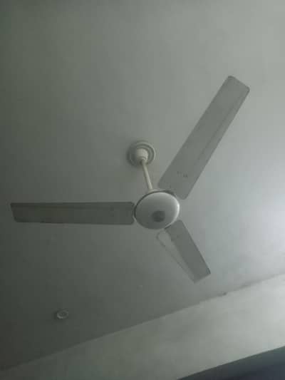 Royal ceiling Fan for sale