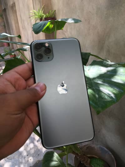 iphone 11pro max approved