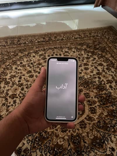 Iphone 13 Pro Factory Unlocked