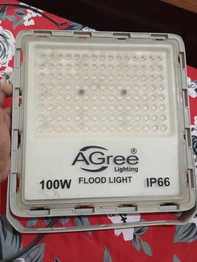 100 Watt Electric Light