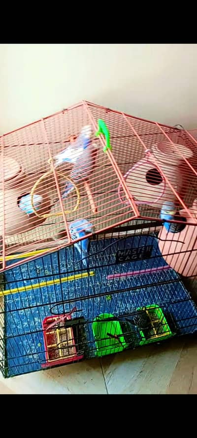 cage sale