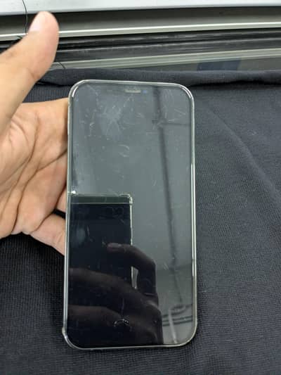 senior buyer contact. . .
