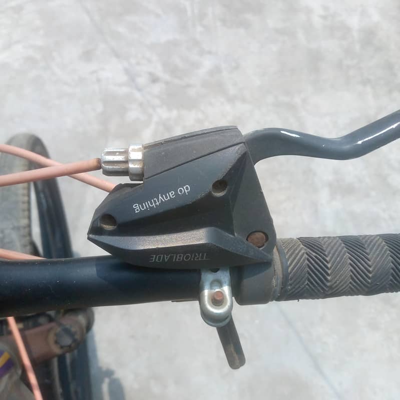 Allow rims Cycle 3