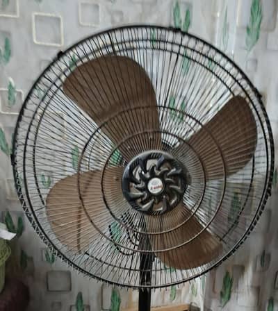 padistal fan
