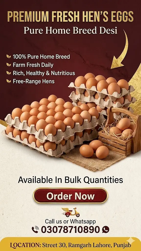 Desi Home Eggs / Eggs for sale — photo 4