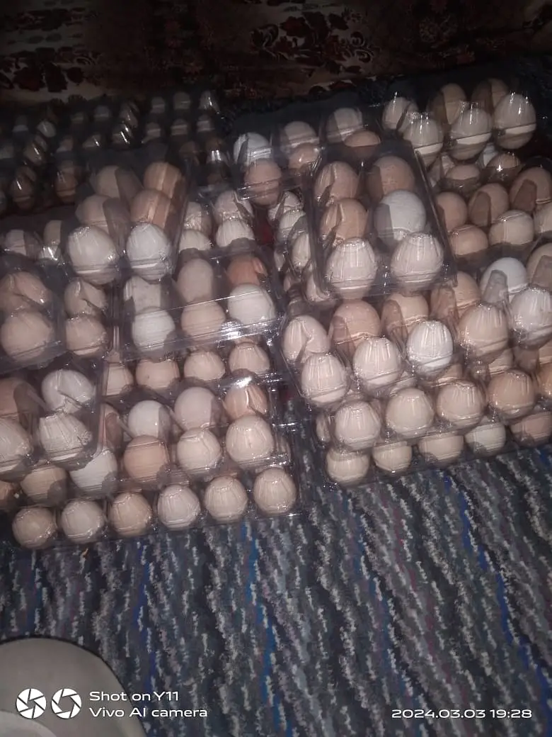 Desi Home Eggs / Eggs for sale — photo 5