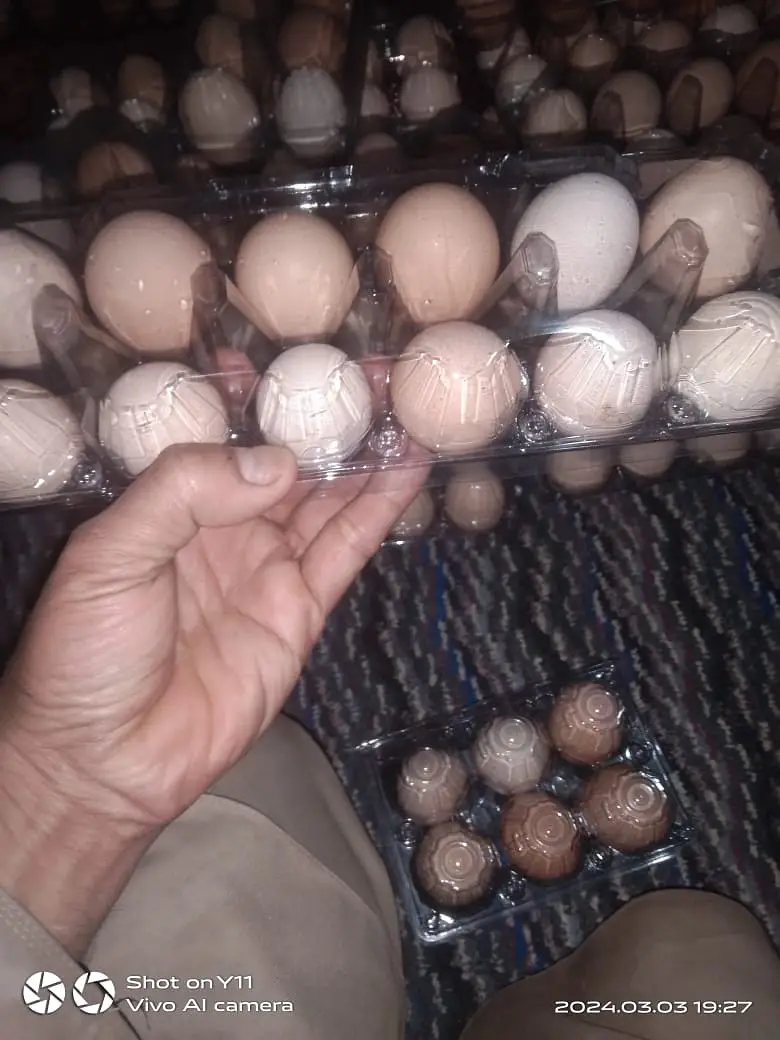 Desi Home Eggs / Eggs for sale — photo 6