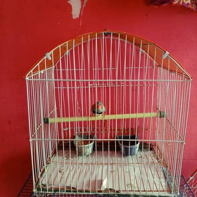 gar ka ha 6000cage samt cage samet