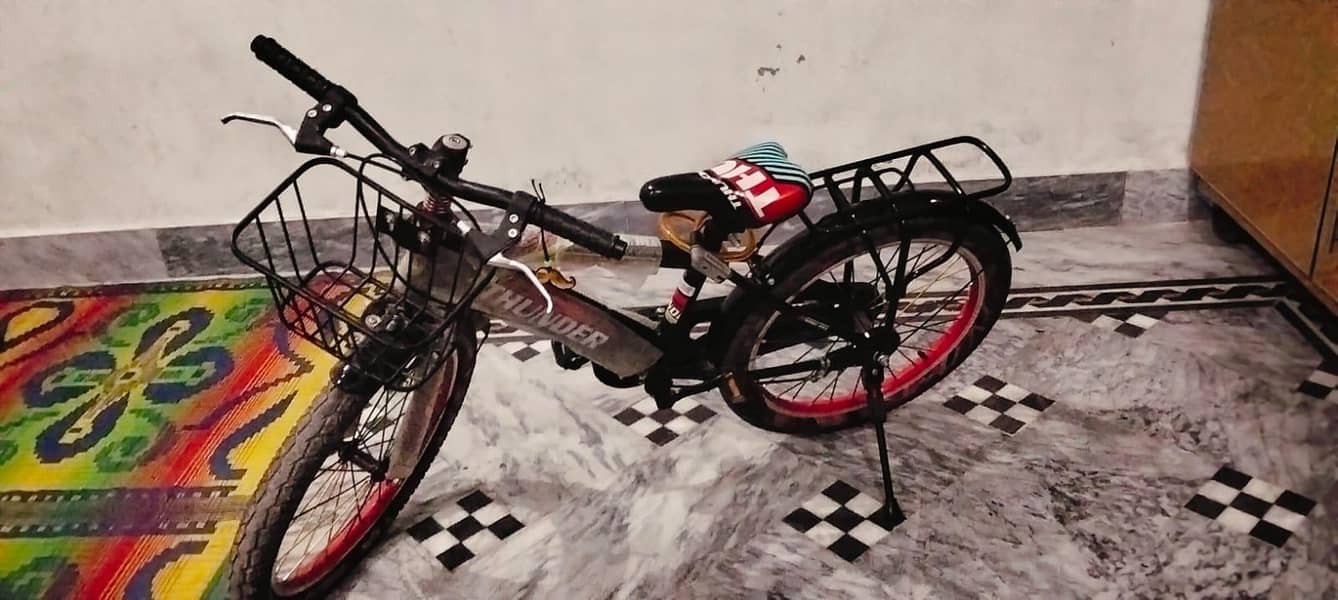 Thunder bicycle 1