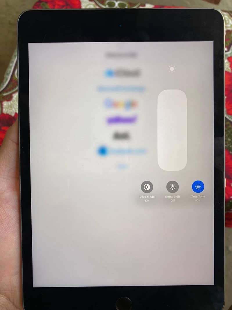 Ipad mini 5 1