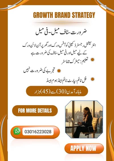 full time part time home based online job